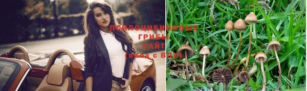 альфа пвп Вяземский