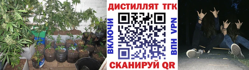 Дистиллят ТГК гашишное масло  omg зеркало  Новая Ладога 