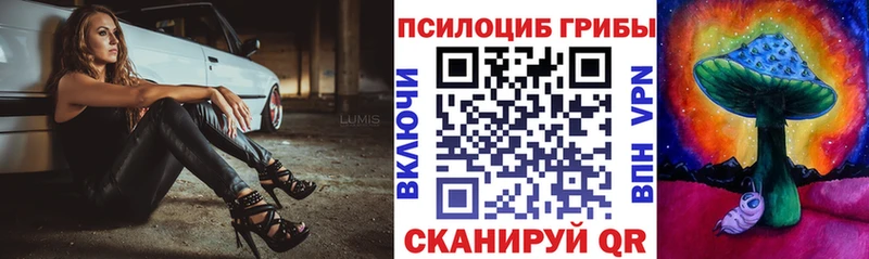 Псилоцибиновые грибы мухоморы Новая Ладога