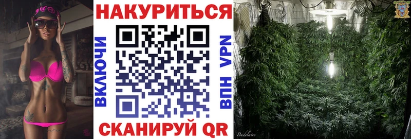 Шишки марихуана семена  Новая Ладога 